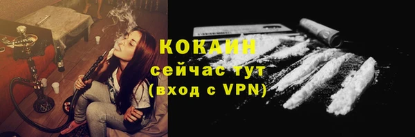 мяу мяу мука Коряжма